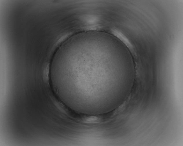 X0000094370058200711162119