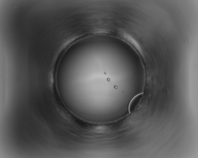 X0000094370059200711162119