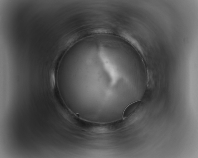 X0000094370061200711162119