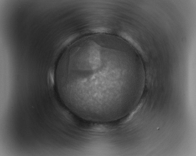 X0000094370062200711162119