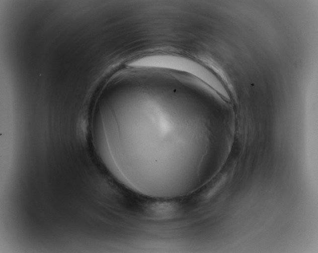 X0000094370063200711162119