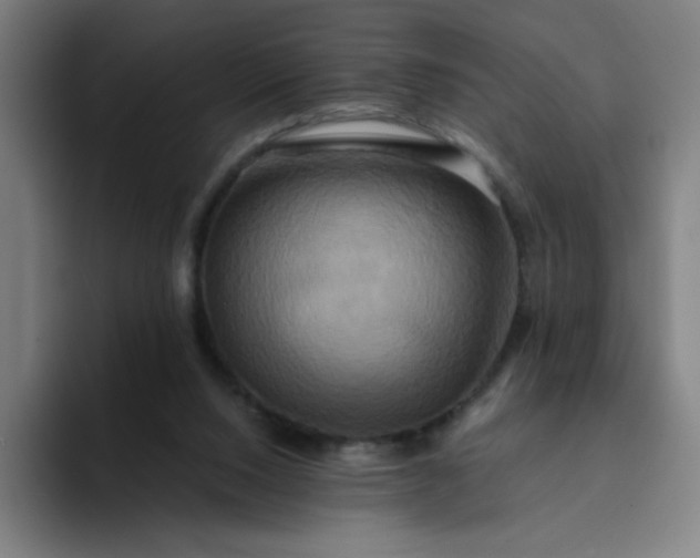 X0000094370064200711162119