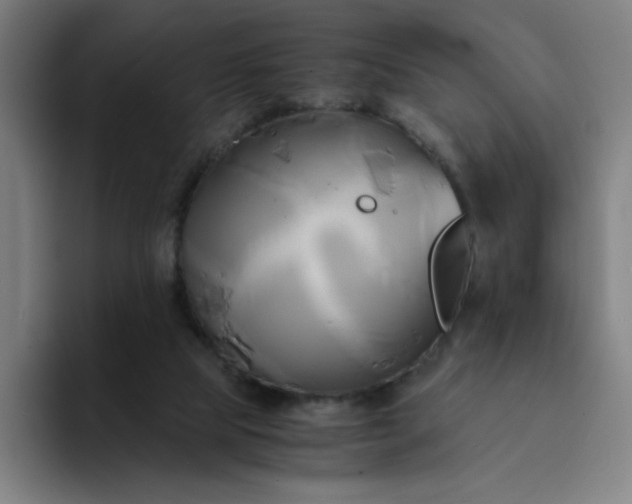 X0000094370065200711162119