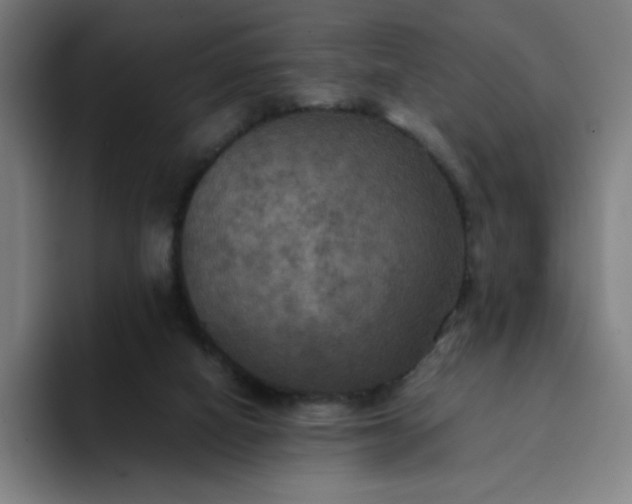 X0000094370066200711162119