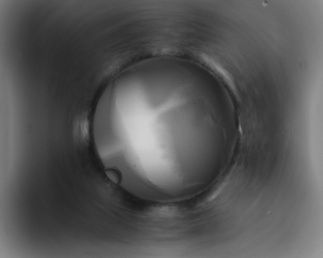 X0000094370067200711162119