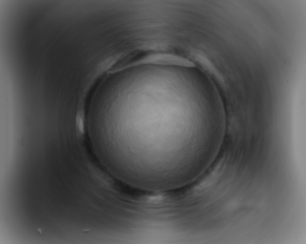 X0000094370068200711162119