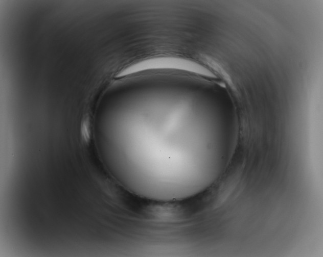 X0000094370069200711162119