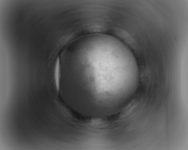 X0000094370070200711162119