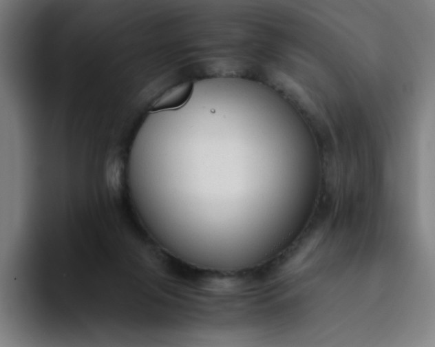 X0000094370071200711162119