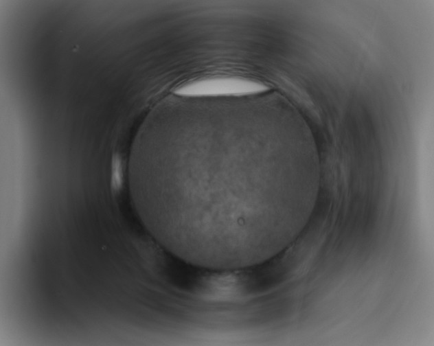 X0000094370075200711162119