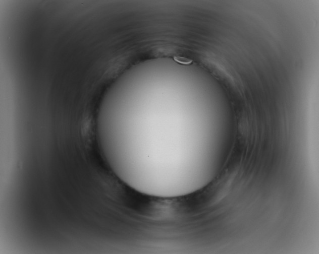 X0000094370079200711162119