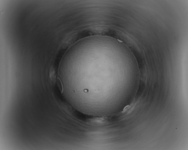 X0000094370086200711162119