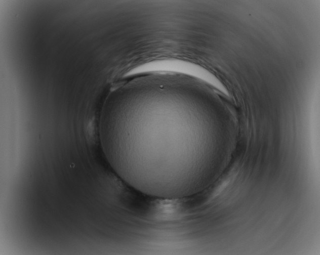 X0000094370088200711162119