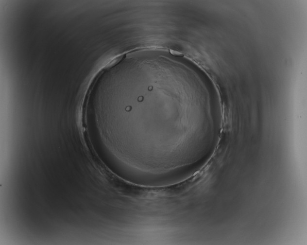 X0000094370099200711162118