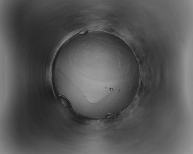 X0000094370100200711162118