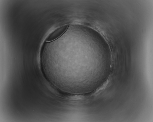 X0000094370102200711162118