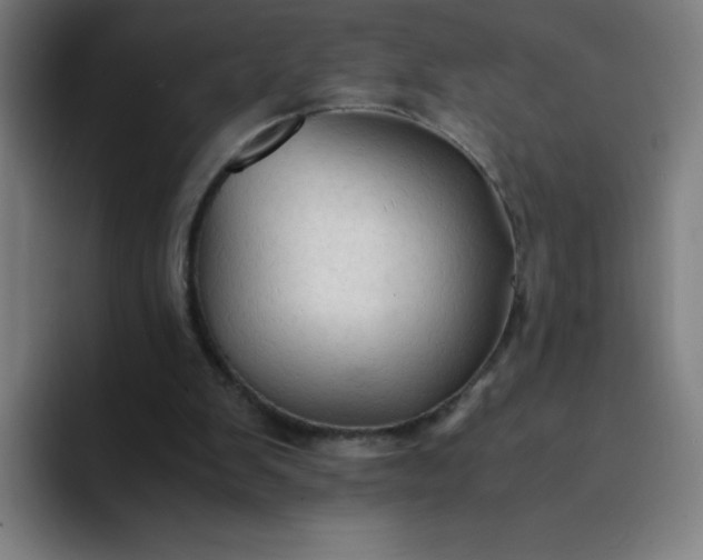 X0000094370103200711162118