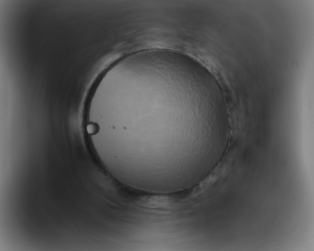 X0000094370104200711162118