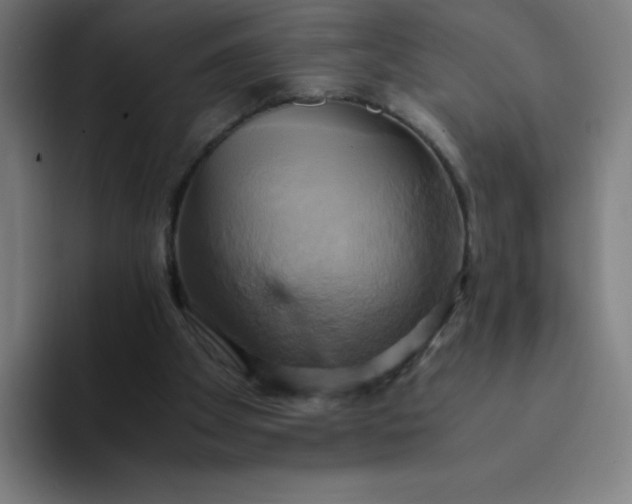 X0000094370105200711162118