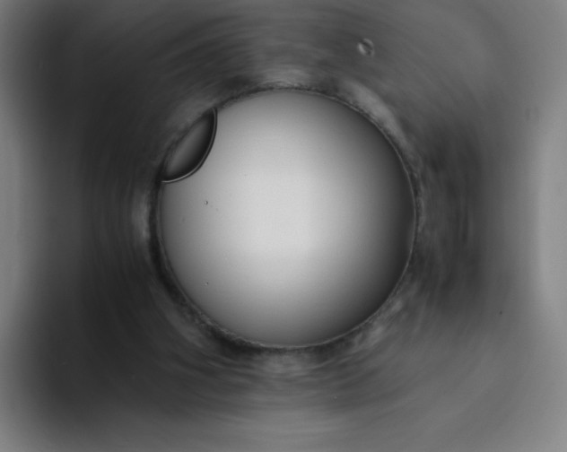 X0000094370106200711162118