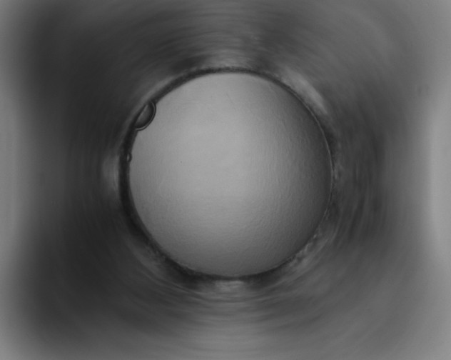 X0000094370108200711162118