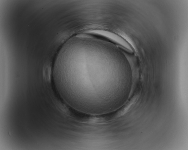 X0000094370109200711162118