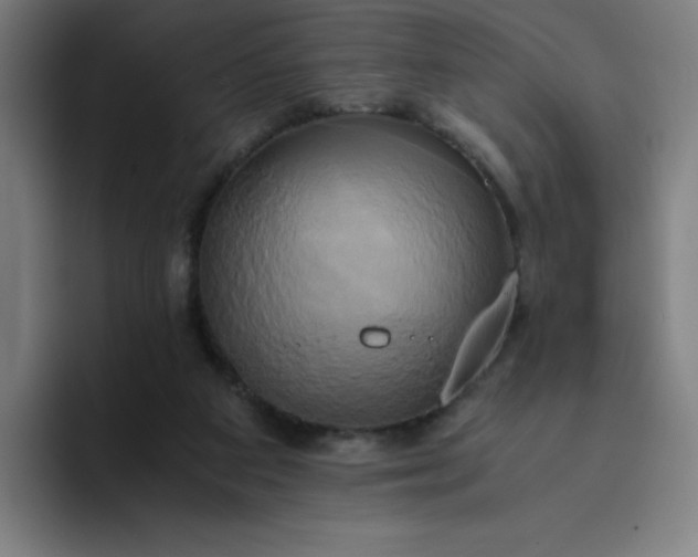 X0000094370113200711162118