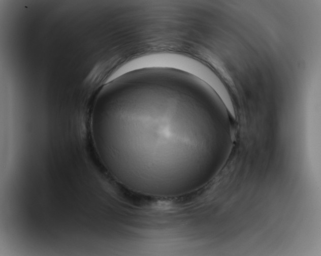 X0000094370114200711162118