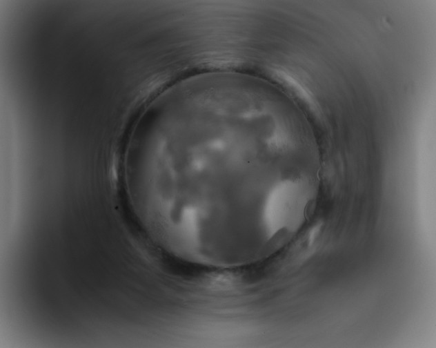 X0000094370115200711162118