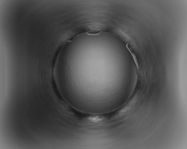 X0000094370117200711162118