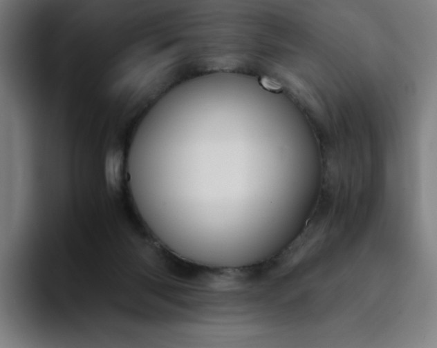 X0000094370118200711162118