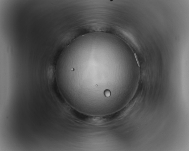 X0000094370121200711162118