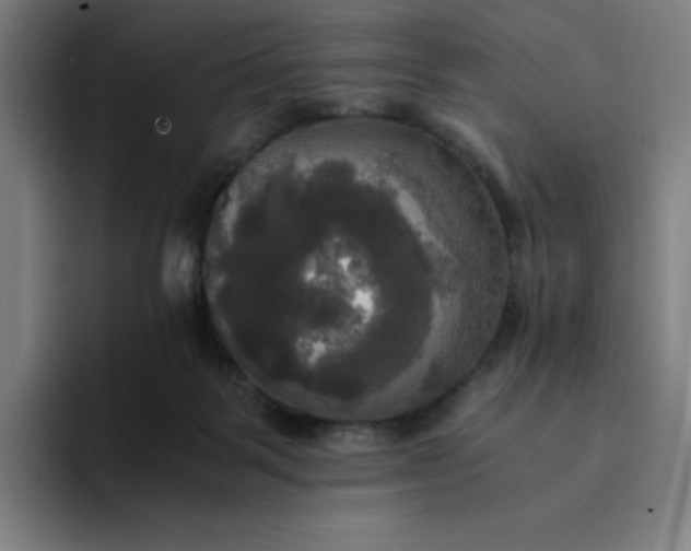 X0000094370123200711162118