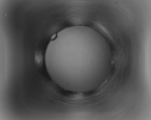 X0000094370124200711162118