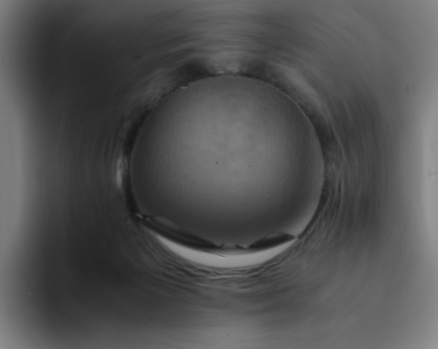 X0000094370125200711162118