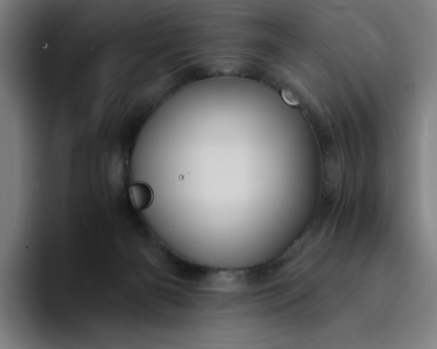 X0000094370126200711162118