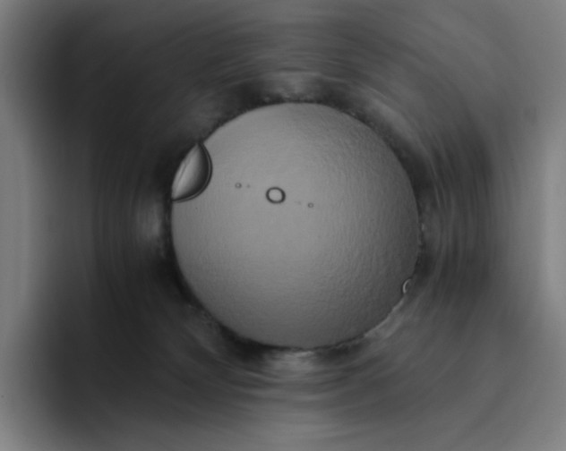 X0000094370132200711162118