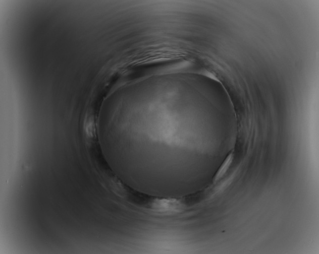 X0000094370137200711162118