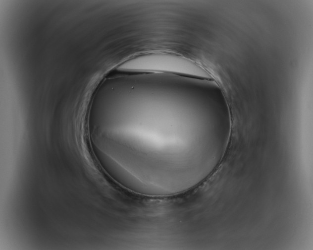 X0000094370145200711162117