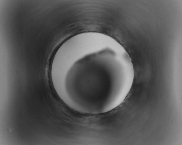 X0000094370146200711162117