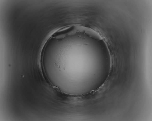 X0000094370147200711162117