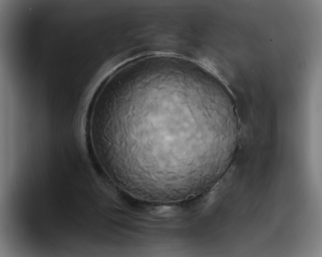 X0000094370151200711162117