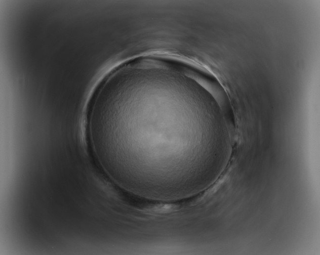 X0000094370152200711162117