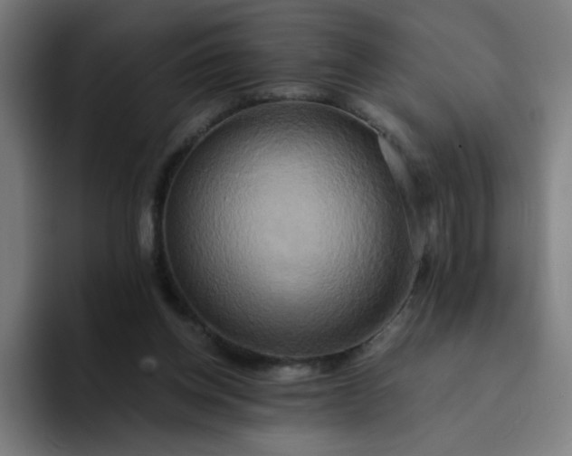 X0000094370158200711162117