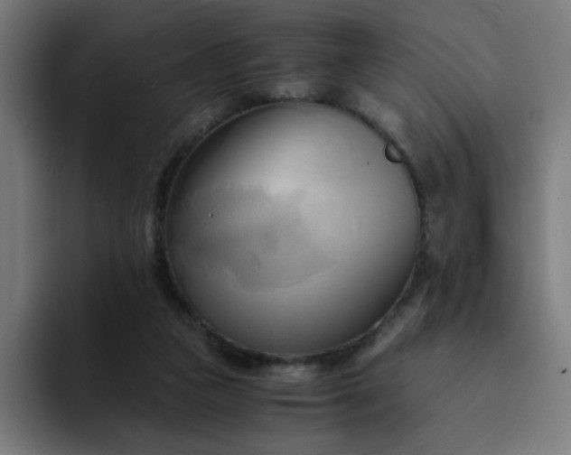 X0000094370161200711162117