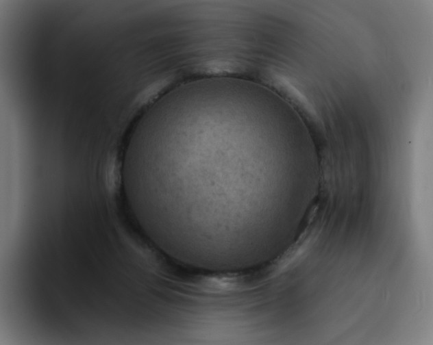 X0000094370164200711162118