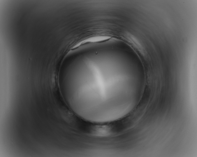 X0000094370169200711162118