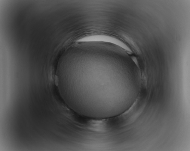 X0000094370170200711162118