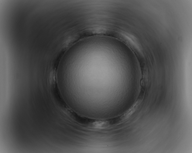 X0000094370172200711162118