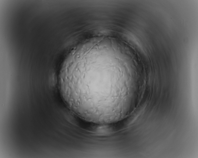 X0000094370173200711162118